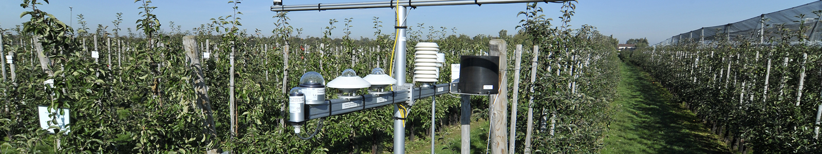 Wetterstation in Obstplantage ©Feuerbach